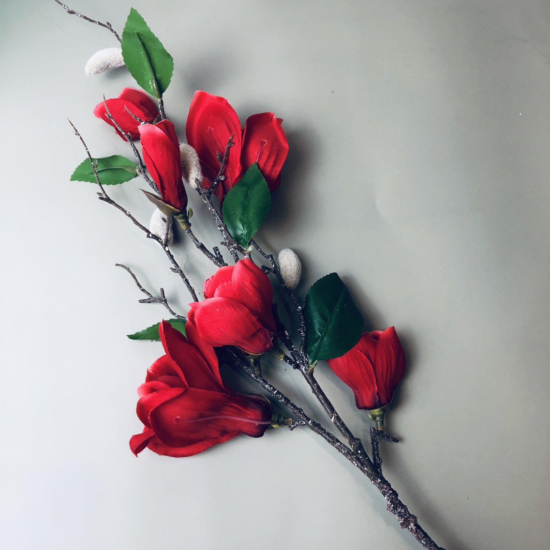 IMG_6543(20201026-234942)