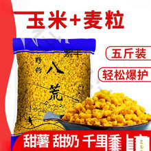 �����C����������������~�D���s�Z�~�DҰ��a�~���~ǧ���������