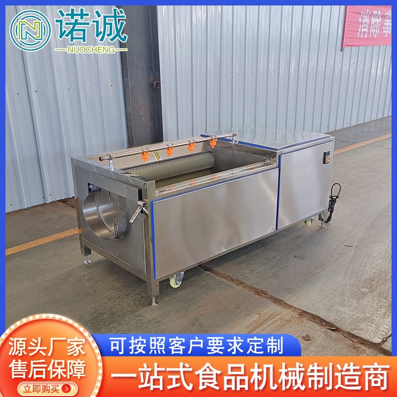 供应红薯自动毛辊清洗机 生蚝田螺毛辊清洗机 根茎类去皮机设备