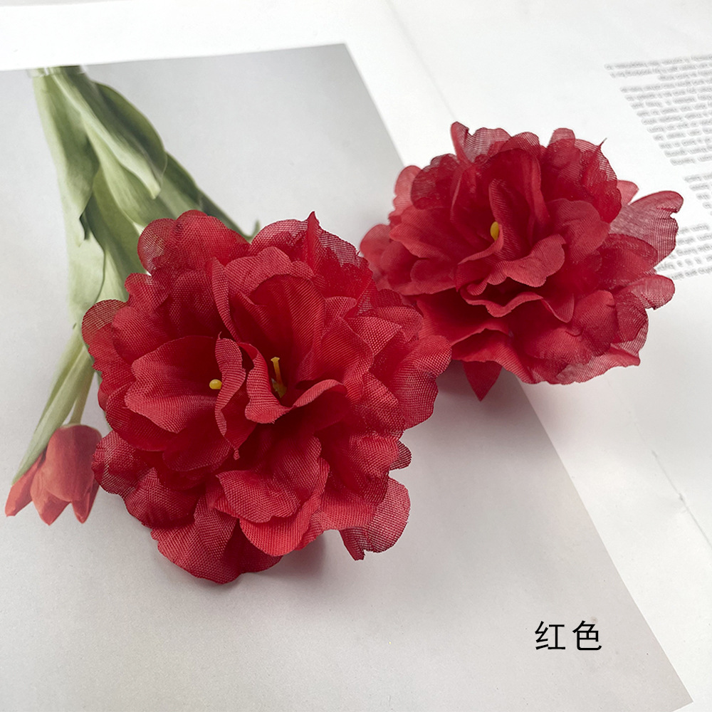 Rojo