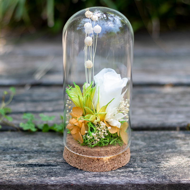 Tuan Jiandiy paquete de materiales de actividad manual flores eternas flores secas cubierta de vidrio ornamentos Salón de alta gama del Día de la Madre