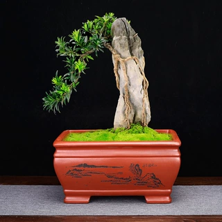 宜兴紫砂花盆长方形客厅盆景盆刻绘陶瓷创意花卉绿植榕树多肉批发