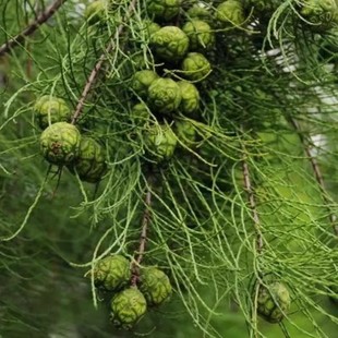 ���l���� ��ɼ�N�� �ذطN�� ������ �߳�ѿ�� ���󃞻�