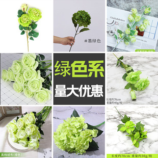�Gɫϵ�����c�����������ϻ��ٻ��Ƶ��쾰�bɻ������[����ˇ