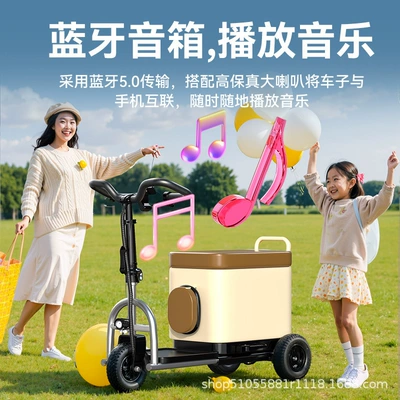 Small Electric Vehicles for the Qatlanan elektrik skuterlər