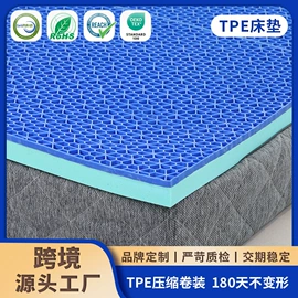 记忆枕;其他枕芯;功能枕