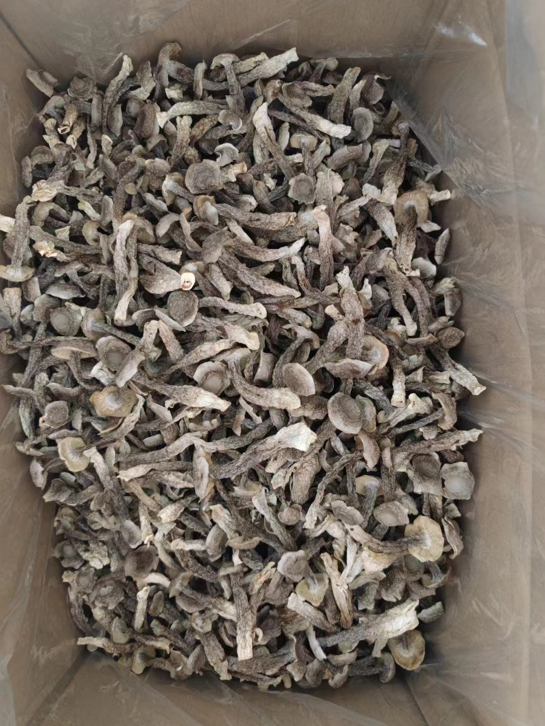 fdcc4623ba55cc0abbdadeaa8bbed3