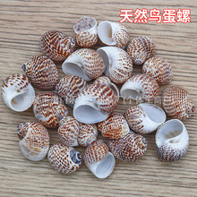 �B������ȻС����ؐ���~���쾰�b�diy�ֹ����ϼľ�з��Q�����l