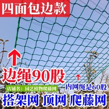 爬藤网供应农业用网家庭园艺植物种植网蔬菜瓜果搭架花卉锁边方格