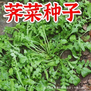 ��ζ�j�j�˷N�����j���ͺ��͝񿹲��̨����ͥԺ�j�˷N��