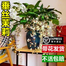 zԎMھGֲ҃Ȱ׺ļ_ϡдֲ