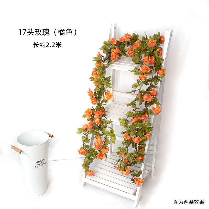 장미 17송이-오렌지