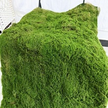 �����z��������ֲ�që̦�\��̺������̦���@��ܛ�b��ɽɳ�P�쾰