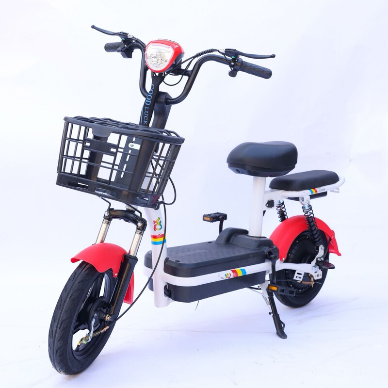小王子電気自動車の対外貿易クロスボーダー卸売り電気自動車の源工場は電動自転車の二輪車を代行します。|undefined