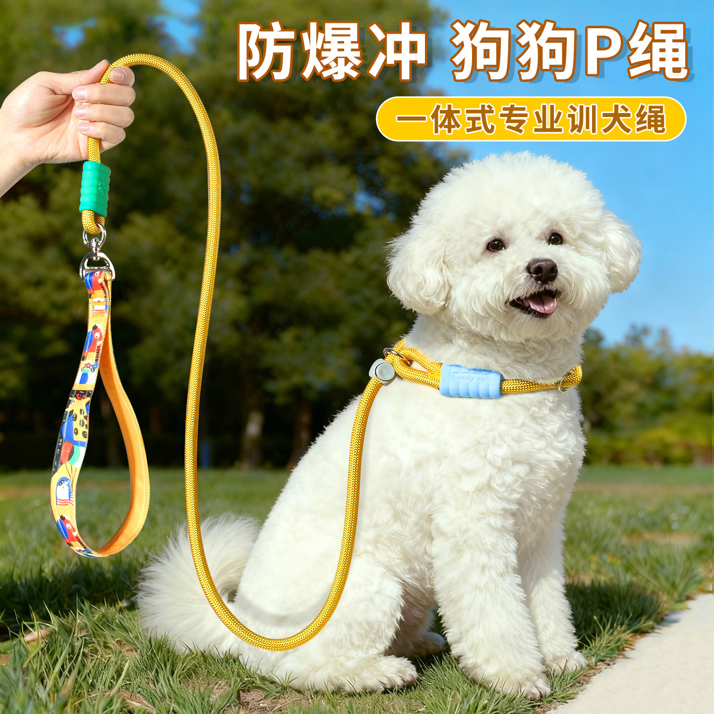 New Pp Rope Cat-Specific Anti-Escape Dog Leash, Anti-Shock for Small, Medium, and Large Dogs, Dog Training, Knotting