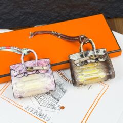 新商品のミニ希少プラチナ小カバンは可愛いアイデアを飾っています。