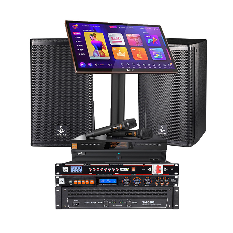 Kit de sonido profesional ktv bar comercial sala de reuniones doméstica sala de baile equipo de sonido conjunto completo