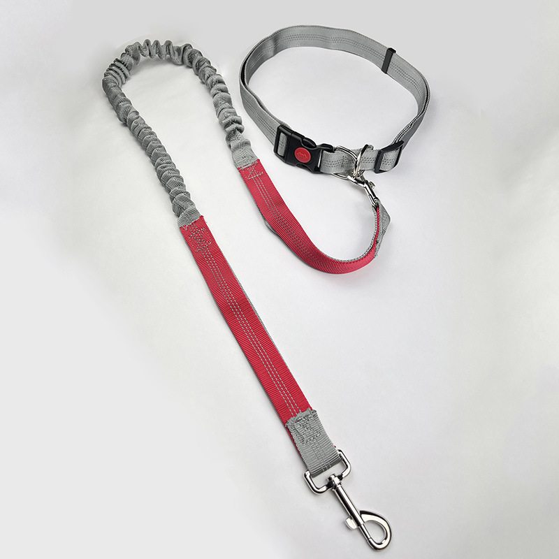 밝은 빨간색이 있는 회색