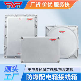 防爆接线箱配电箱照明动力控制柜按钮开关盒检修端子仪表模块箱