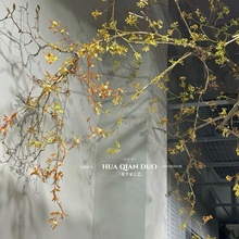 ����ɘ�֦�쾰����ʽ��U������b�ܛ�b������ľ�ٻ��ﶬ��ˇ