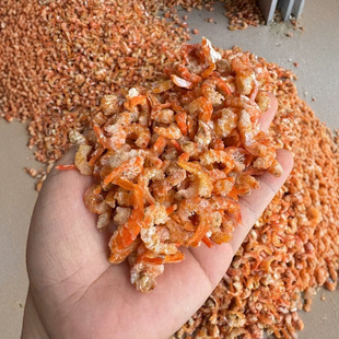 ���l�����t�r�� ���� �_���r����500�˺��r��؛ �rƤ�r�ʲ��˓Q