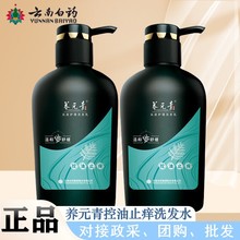 云南白药养元青500ml洗发水控油止痒清爽去油一件代发洗发乳