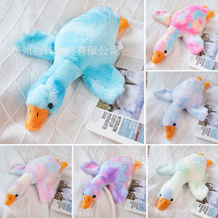 ����Zſ˯��ë�q��������Z�������ޱ����������������˶Y�����l