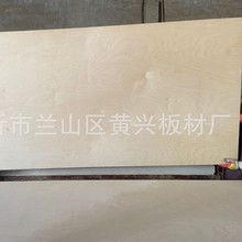厂家直供15mm原色桦木面多层板 双面贴桦木家具板胶合板复合板