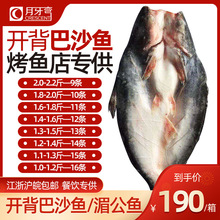 开背巴沙鱼湄公鱼未腌制整箱20斤10条带皮国产龙利鱼商用烤鱼店