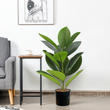 仿真绿植玉兰树黑金刚琴叶榕北欧室内绿化装饰花园造景客厅桌摆件
