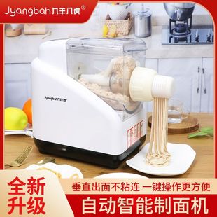 Noodles Machine Home Full Automatic Intelligent Noodles Press Electric Small Multifunctional Dumpling Skin Noodles and Noodles Machine New
