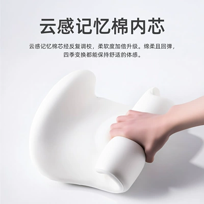 Backrest Cushions, Waist Protection, Lumbar Pillows, Waist support