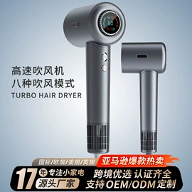 卷发/直发器;冲牙器;其他按摩器材