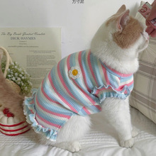 夏天彩虹条纹狗狗猫咪衣服夏季薄款小型犬幼犬幼猫防毛夏装背心厂
