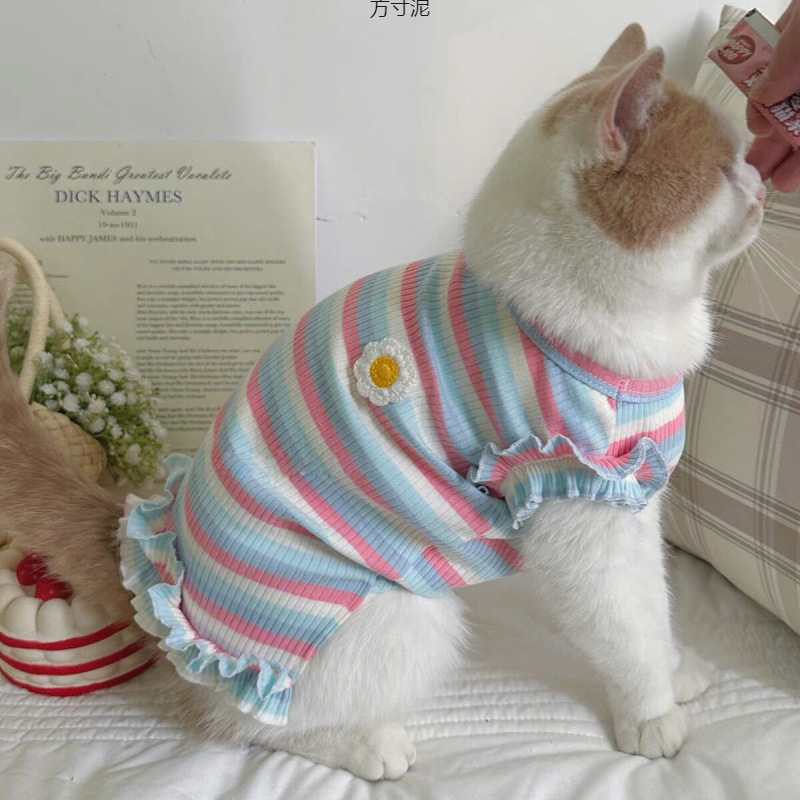 夏天彩虹条纹狗狗猫咪衣服夏季薄款小型犬幼犬幼猫防毛夏装背心厂