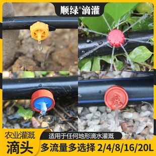 �ι�ι��^΢���ι��^�����a��ʽ���^С�tñ���^