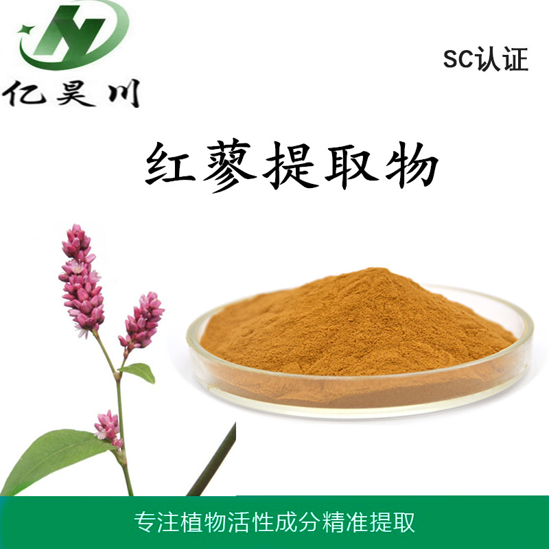 红蓼提取物厂家10:1 全水溶红蓼粉 红蓼浸膏粉现货包邮量大从优