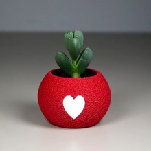 3D��ӡ������⻨����ĈD���̨�辰�Ҿ��b�����[�����˶Y��