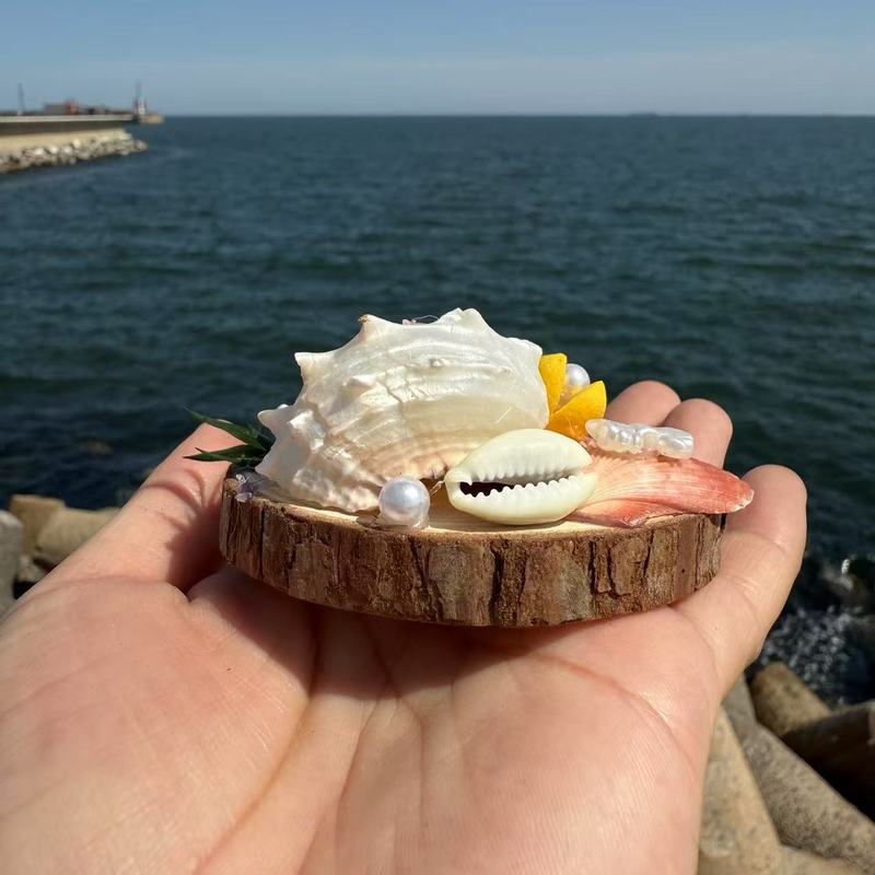 包邮天然贝壳海螺海星创意木片冰箱贴挂件旅游城市纪念品伴手礼|undefined