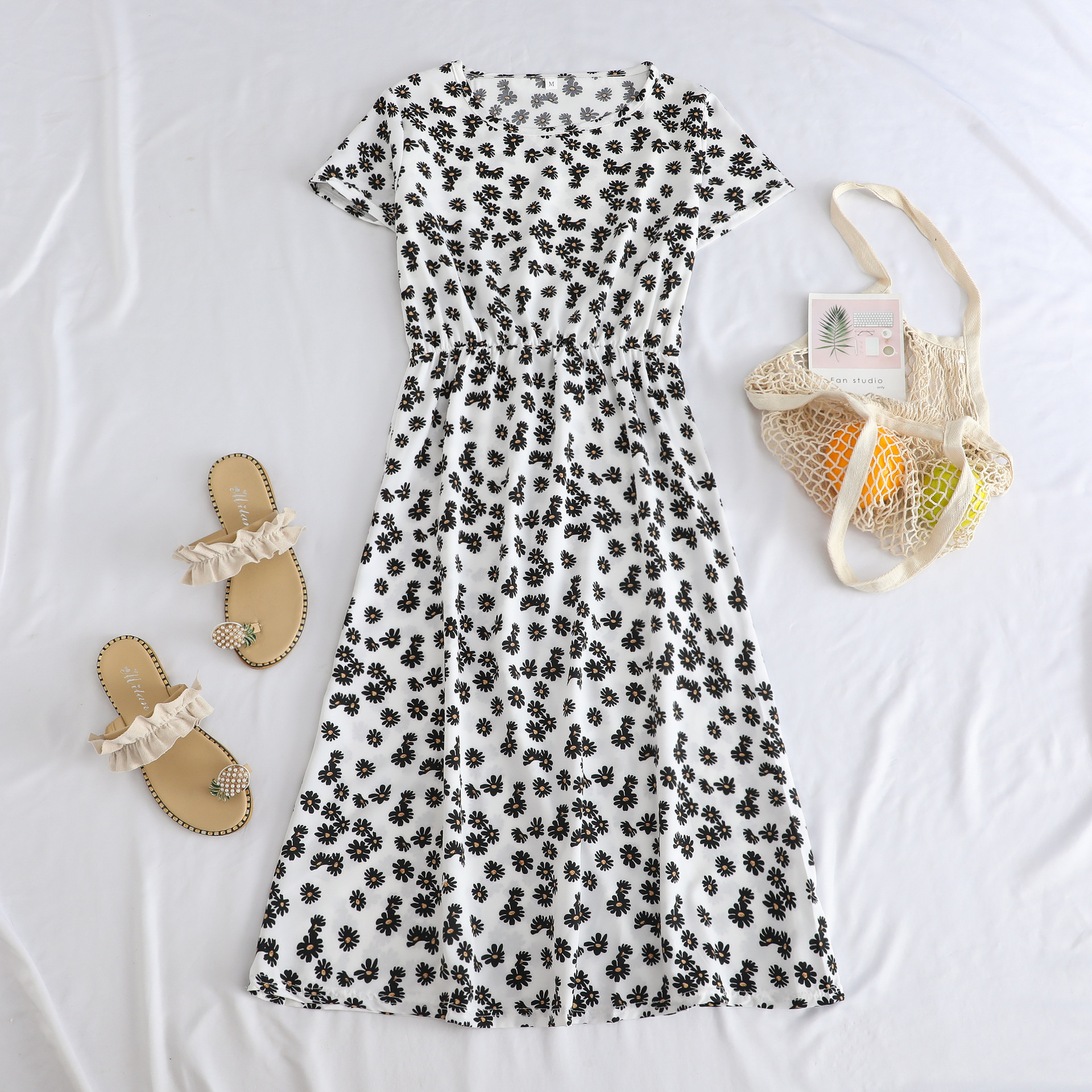 F39 흰색 작은 국화