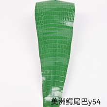 鳄鱼皮进口】_鳄鱼皮进口品牌/图片/价格_鳄鱼皮进口批发_阿里巴巴 鳄鱼皮进口】_鳄鱼皮进口品牌/图片/价格_鳄鱼皮进口批发_阿里巴巴