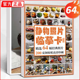 素描静物照片临摹卡 卡片高清精微创意单体组合图片美术艺考高考