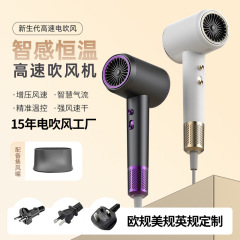 越境してよく売れている新型の高回転速度の電気は2400wのハイパワーのドライヤーを吹きます。