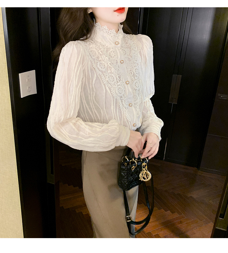 2022 Autumn/Winter new style fleece high-neck lace shirt chiffon shirt top, elegant base layer, fairy pic 20