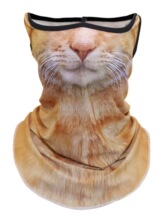 �����������⾀���L�T���Tʿ���ք����Ę��؈���С؈����ԭɫ