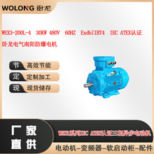 WEX3-200L-4  30KW 480V  60HZ  ExdbIIBT4  IEC ATEX�J�C 늙C