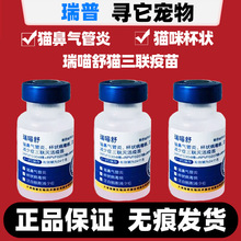 ��������������؈��؈��؈����������؈����؈����֧��������