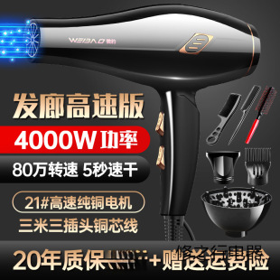 Hair Salon Special Hair Dryer Barber Shop High-Power Household High-Wind Negative Ion Hair Care Quick-Drying Silent Hair Dryer