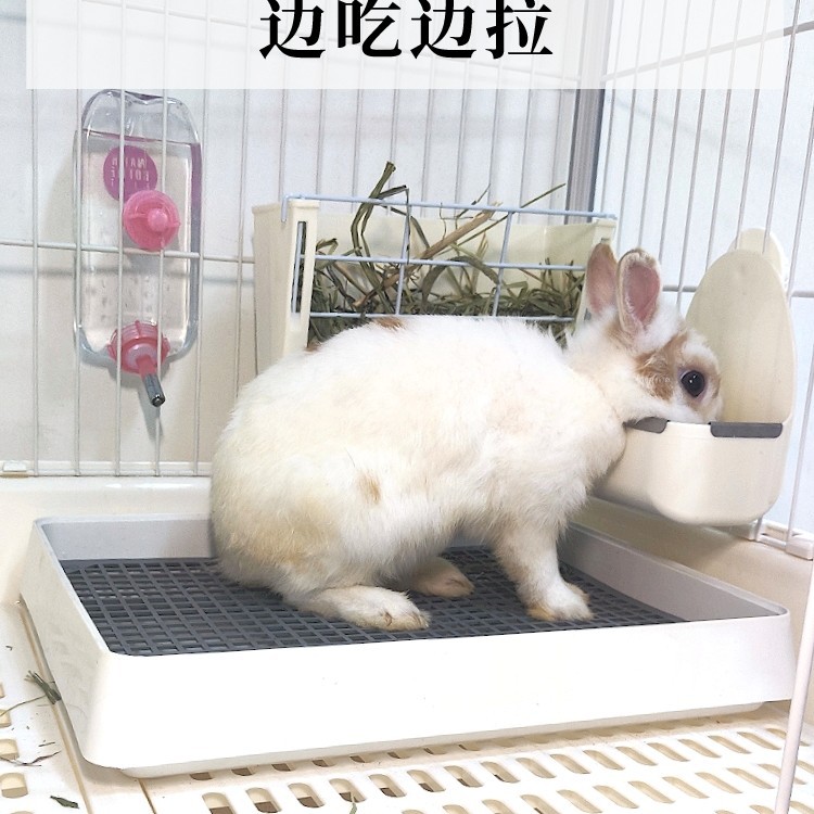 ウサギのウサギの専用のペットのウサギのトイレの大きいサイズの糞鉢のホランドのブタのゼラニウムのネズミの尿鉢のモルモットの便器の用品の大きいサイズ