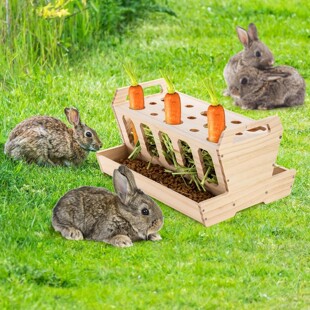 ��������ιʳ����ľ�r���ɲݺ��}�����  �ɲ�ж�üZͶι��